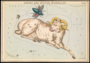 Aries and Musca Borealis, c.1825 by Sydney Hall