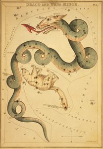 Draco and Ursa Minor, Illustration from 