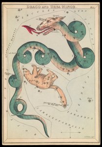 Draco and Ursa Minor