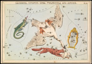 Lacerta, Cygnus, Lyra, Vulpecula and Anser, c.1825