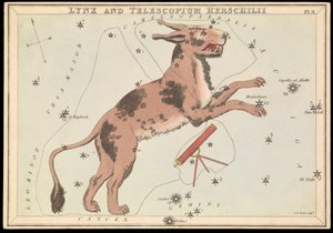 Lynx and Telescopium Hereschilii, c.1825