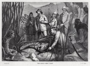 King Edward VII with the tiger he has killed by Sydney Prior (after) Hall