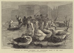 A Difference of Opinion, feathered and unfeathered Bipeds in the Frost by Sydney Prior Hall