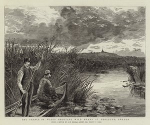 The Prince of Wales shooting Wild Swans at Ekolsund, Sweden by Sydney Prior Hall