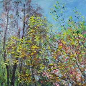Delicate Leaves of Spring