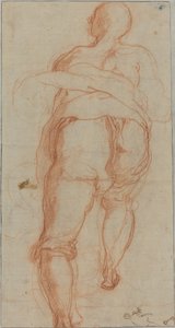 A Man Seen from Behind