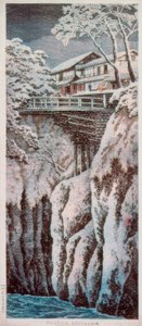 Koshu Monkey Bridge