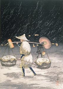 Night Snow