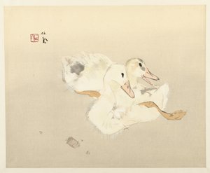 Young Ducks by Takeuchi Seiho