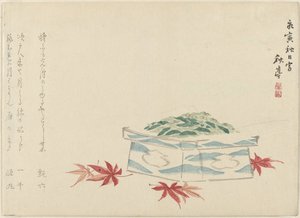 Gift with Acer Leaves