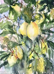 Vibrant Lemon Branch