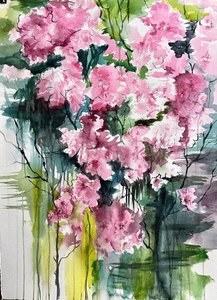 Vibrant Pink Blooms