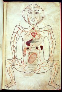 Organic Members and the Embryo in the Human Body, mid 15th century