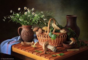 Autumn Mushroom Still Life by Tatyana Skorokhod