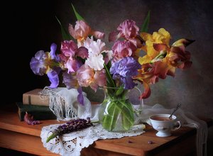 Colorful Irises Still Life by Tatyana Skorokhod