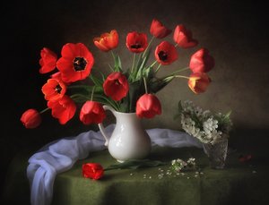 Vibrant Red Tulips by Tatyana Skorokhod