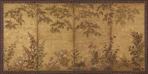 Mimosa Tree, Poppies and Other Summer Flowers