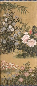 Flowers And Butterflies