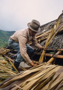 A Colombian Farmer Thatches His Roof with Sugarcane Leaves Near Pamira, Colombia by Ted Spiegel