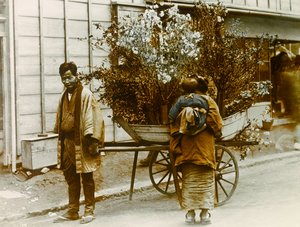 Itinerant Flower Seller in the Streets of Tokyo, circa 1900 - 1915