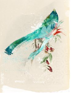 Bird Silhouette