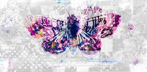Butterfly Silhouette by Teis Albers