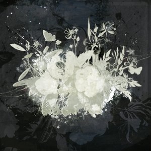 Floral Silhouette
