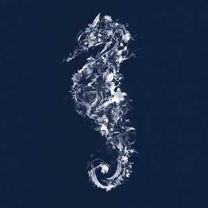 Floralseahorse, 2019 by Teis Albers