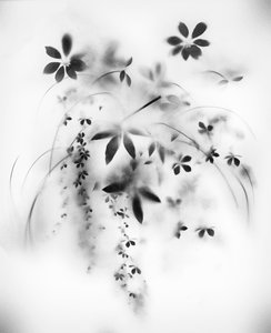 Natural Veil, 2018
