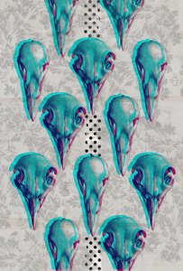 Series of Skulls by Teis Albers