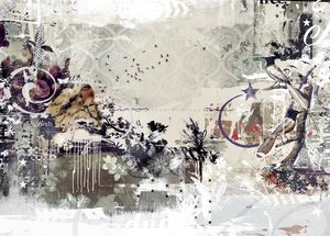 Tweeting Birds, 2015