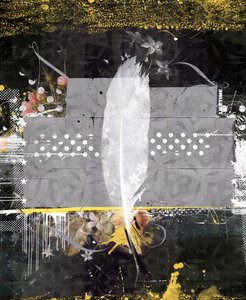 Feather, 2014 by Teis Albers