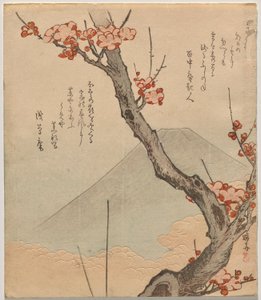 Plum Tree with Mount Fuji