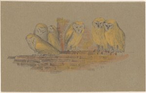 Greeting Card with Six Owls by Theo van Hoytema