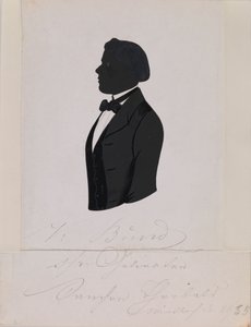 Profile of a Man