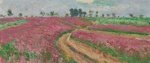 Field of Sainfoin near Znaim II
