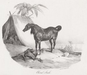 Arabian Horse by Theodore Gericault