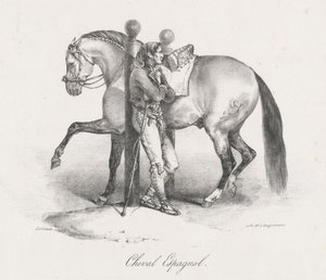 Spanish Horse
