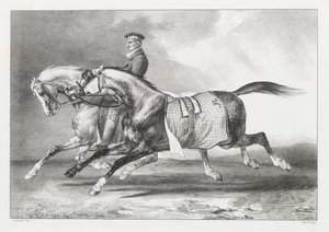 Two Dapple-Grays Being Exercised by Theodore Gericault