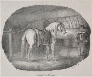 Horse from Hanover by Theodore Gericault