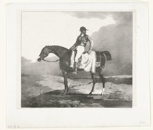Jockey on an English Thoroughbred Horse