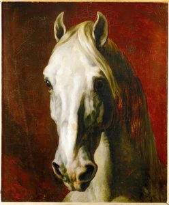 Head of a White Horse