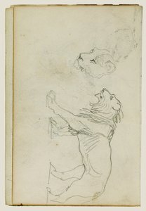 Lion Walking, Head of a Lioness by Theodore Gericault