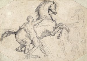 Rearing Stallion Held by a Nude Man by Theodore Gericault