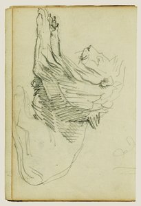 Seated Lion