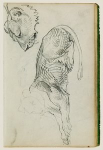 Seated lion, head of lioness by Theodore Gericault