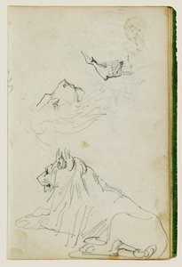 Seated Lion, Two Lion Head Studies