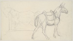 Sketch of a Horse by Theodore Gericault