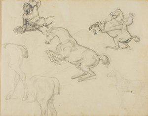 Sketches: Reclining Nude, a Horseman and Various Horses by Theodore Gericault