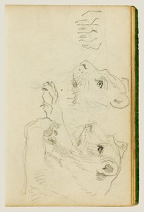 Studies of the Head and Forelegs of a Lioness by Theodore Gericault